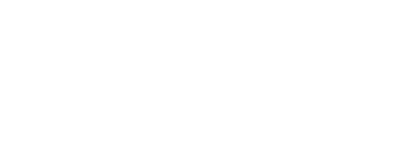 Emerce 100 logo, erkenning als top digital agency