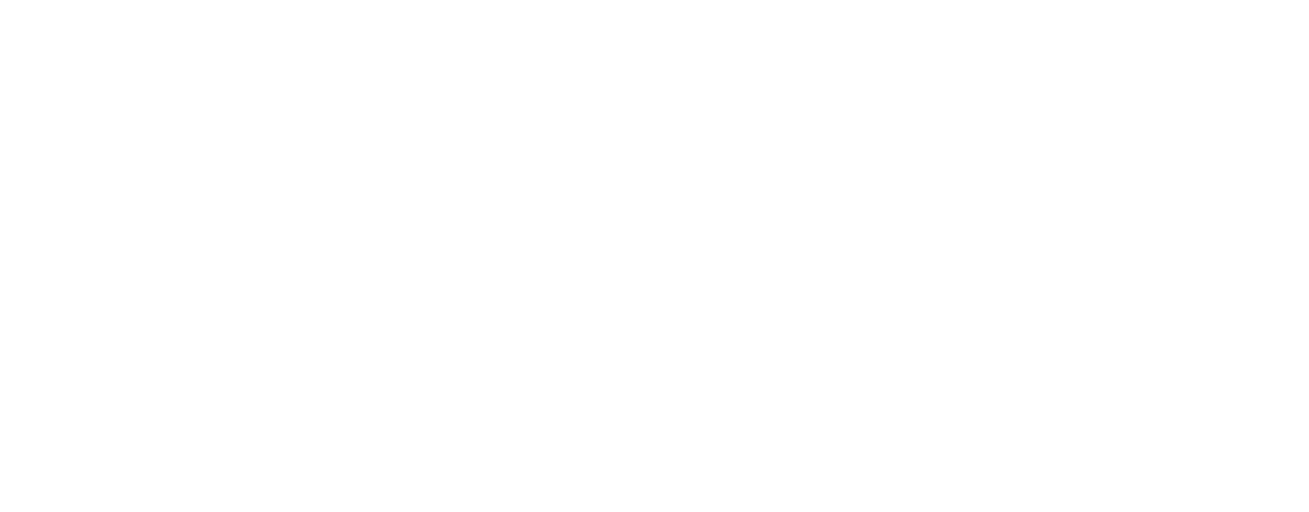 Google Partner logo, gecertificeerd Google Ads partner